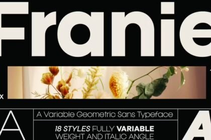 Franie Geometric Sans Font