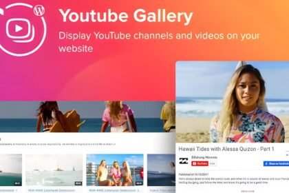 YouTube Gallery Plugin Theme